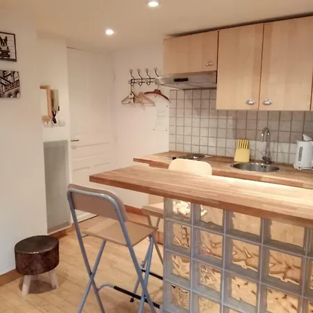 Apartment Studio Avec Terrasse Arboree-hyper Centre